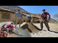 🏡 Epic Nomadic House Renovation! Professional Cement Work Like Never Before! 💪🔥