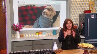 This Genius Dog Eats Popcorn Out Of His Hood And We re Inspired
