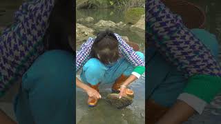 The Girl Discovers The Secret Of Pearls In The Giant Clam