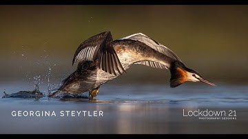 Learning the Rules like a Pro, breaking them like an Artist by Georgina  Steytler