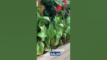 Thumbnail of Ainal maafkan mantan