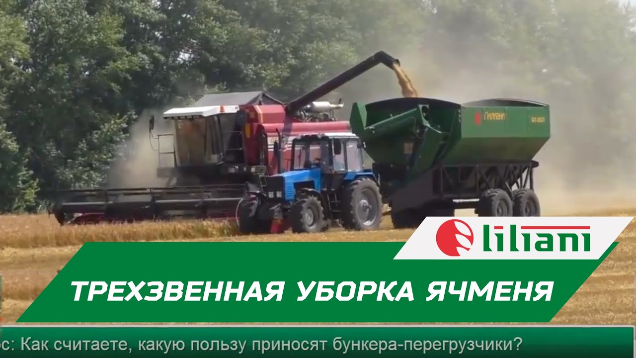 Агрохолдинг Поиск Интернет Магазин Отзывы