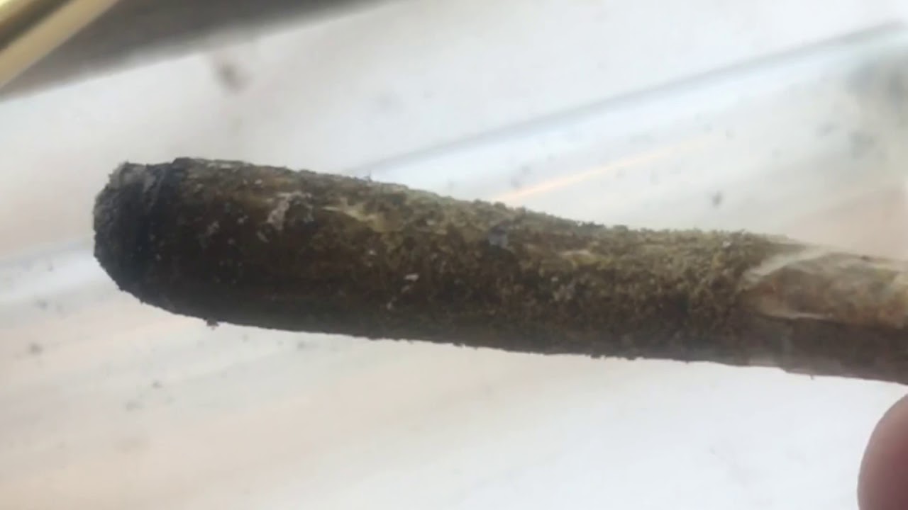 Pre rolled joint, dipped in cannabis oil, rolled in Keif...