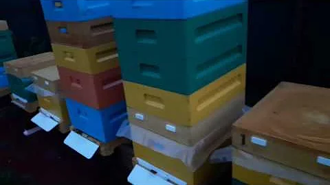 ПЧЕЛЫ НАМ ПОКАЖУТ САМИ. ВЕНТИЛЯЦИЯ в УЛЬЕ ЛЕТОМ или КОГДА ОТКРЫВАТЬ ЗАДВИЖКУ ДНА