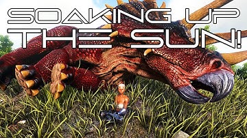 Comprehensive Turret Soaking Test (All Main Soakers) | ARK Survival Evolved
