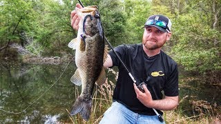 Bank Fishing Ponds for Bass