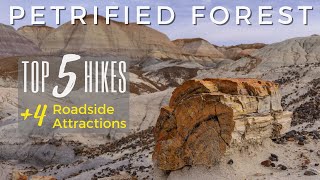 Top 5 Hikes | Petrified Forest National Park | Arizona