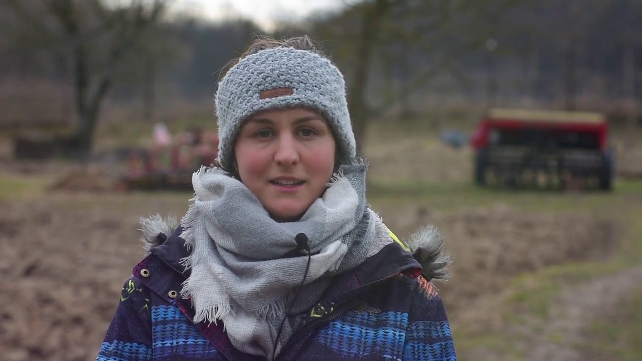 Zen a társadalomban