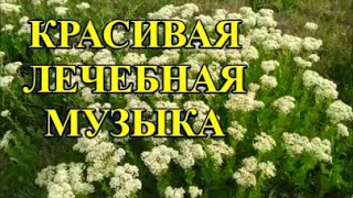 ВОССТАНОВЛЕНИЕ НЕРВНОЙ СИСТЕМЫ🌿САМАЯ КРАСИВАЯ ЛЕЧЕБНАЯ МУЗЫКА @MobyLife Будьте здоровы!