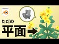【入門】ローポリ植物を描くかんたん3ステップ【Blenderテクスチャペイント】