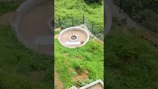 Ooty room view