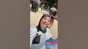 مك يامك درب شيش Hindisong اكسبلور تيك توك متابعه ترند تيك توك متابعه Music Burnaboy Newm 