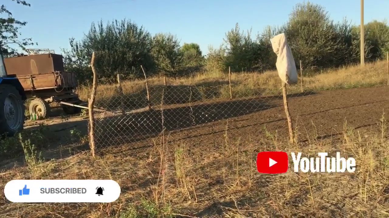 Сколько пастбище нужно для овец , обработка ягнят от чесотки - YouTube