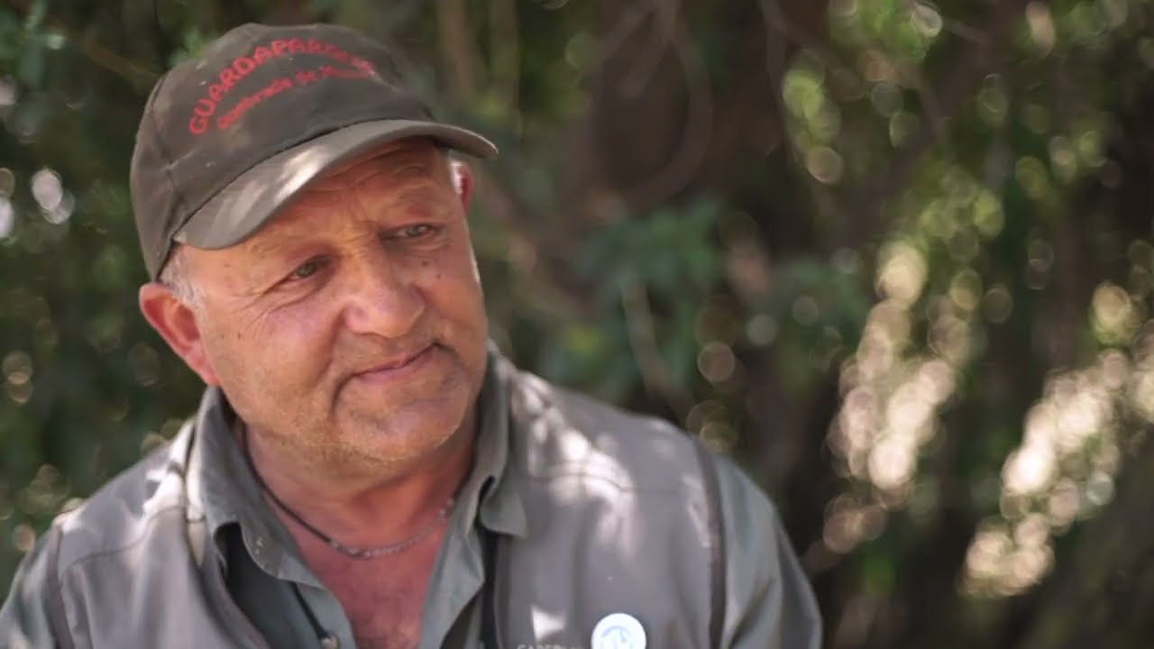 Trailer | Serie documental: Territorio de Cultura y Patrimonio en Peñalolén 2025