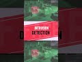 AI Intrusion Detection System | OpenCV &amp; YOLO | Restricted Zone Monitoring | Python With Source Code
