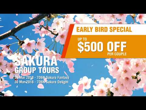 Japan Hour 2017: Japan Tours CM - HIS Travel (Oct - Dec)