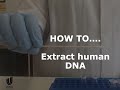 HOW TO... extract human DNA (buccal swab)