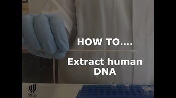 HOW TO... extract human DNA (buccal swab)