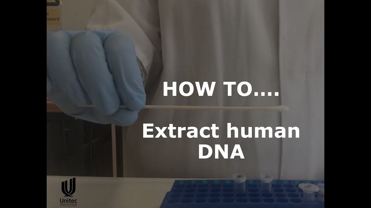 HOW TO... extract human DNA (buccal swab) YouTube