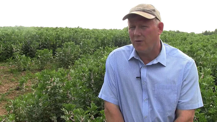 3 top tips to improve soil health