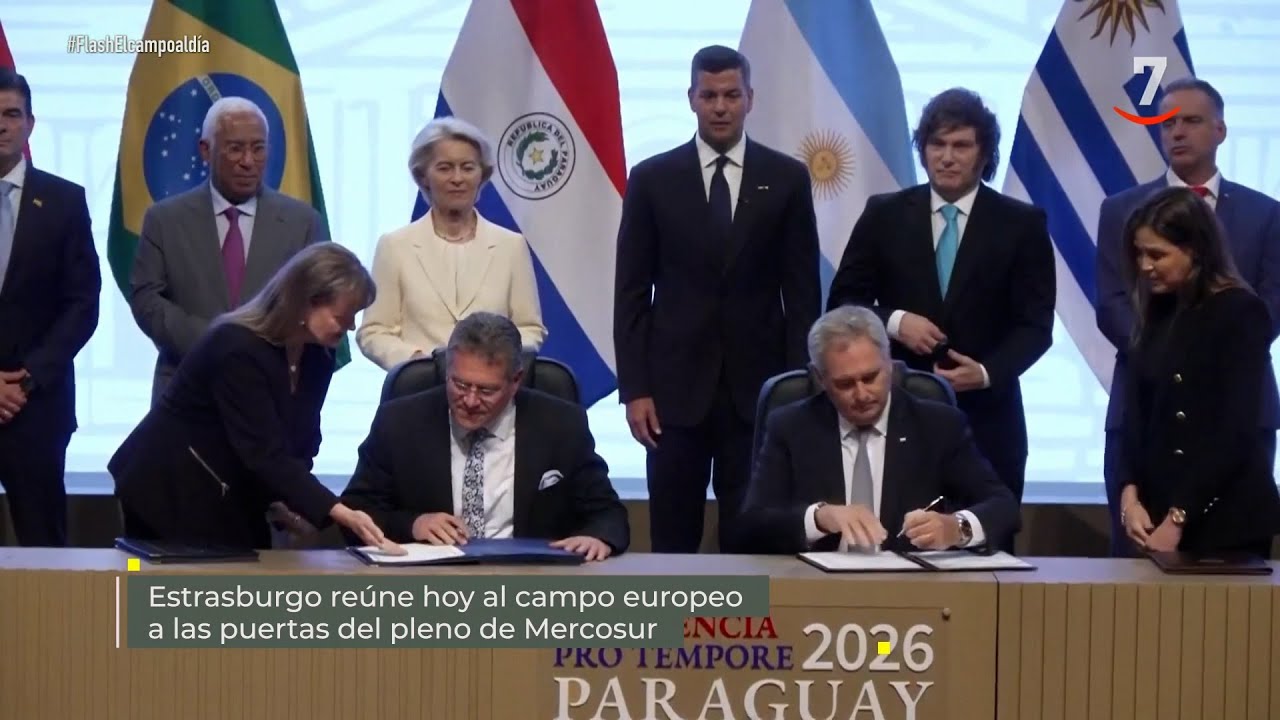 Flash El campo al día (20/01/2026): Estrasburgo reúne este martes al campo europeo