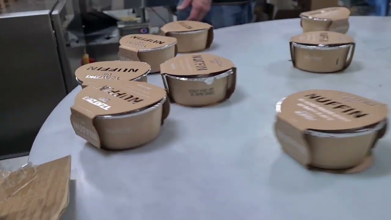 SNEED-JET Titan Printer Installed On Conveyor Coding Dip Containers