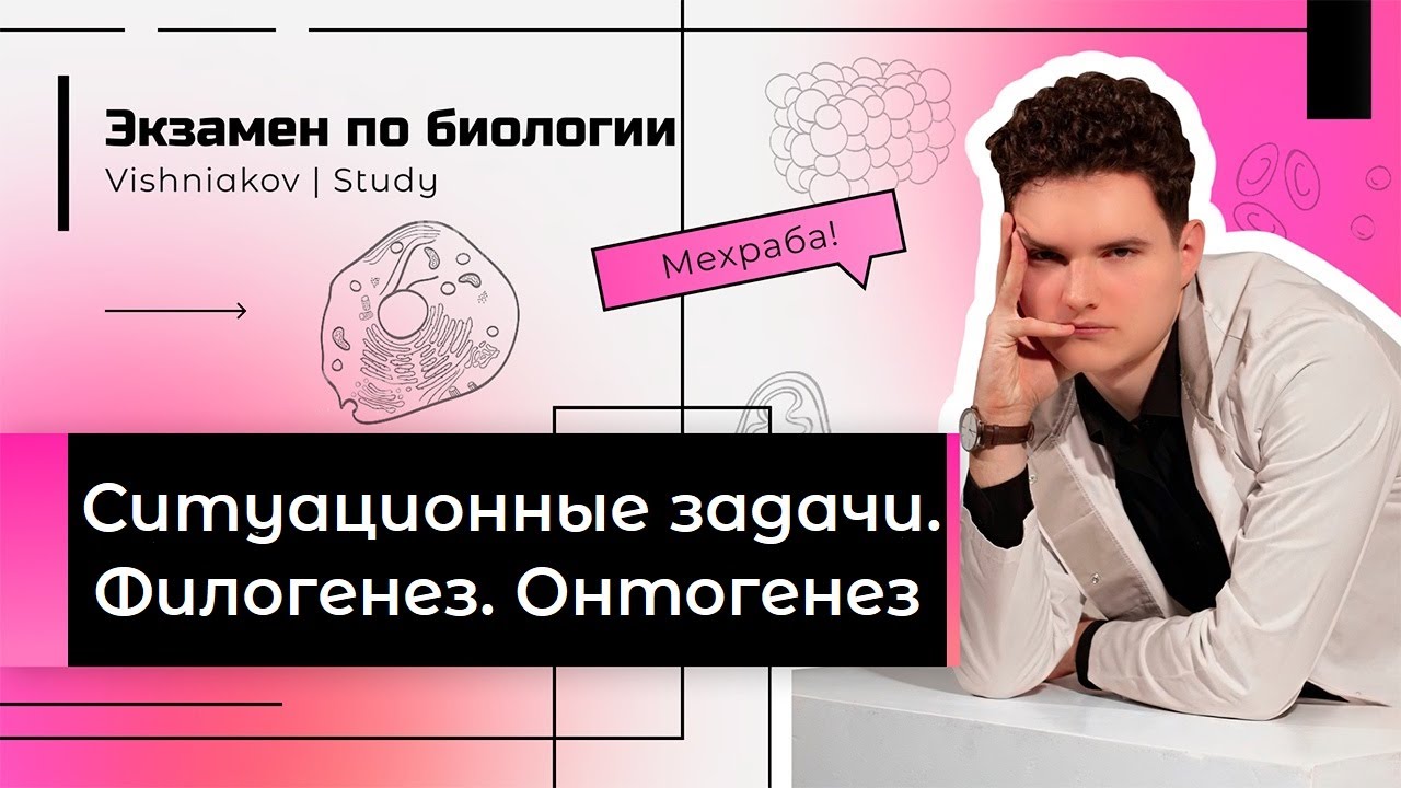 Ситуационные задачи. Биология | ФИЛОГЕНЕЗ. ОНТОГЕНЕЗ