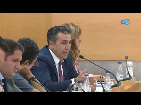 La polémica sobre la celebración o no de los plenos salta a la Asamblea