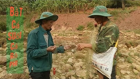 Đi thả lưới bắt cá suối | bắt cá rô suối #vvQ vlogs