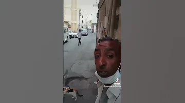 كابوس القطط ضحك 