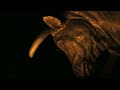 Cú Chulainn: Laoch Uladh