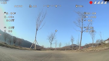 Flywoo & Sharkbyte flew by Runcam Micro HDZero camera