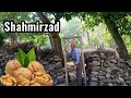شهمیرزاد شامرزا بهشتی پنهان در کویر Shahmirzad A Hidden Paradise In The Desert Semnan IRAN 