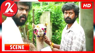Bakrid | Tamil Movie | Camel Scene | Vikranth | Vasundhara Kashyap | 2019 Latest Tamil Movie