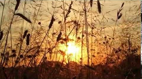 Teaser video introducing the Cloud Core Router series devices