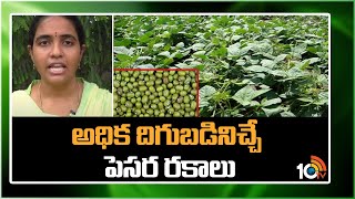 అధిక దిగుబడినిచ్చే పెసర రకాలు |  Green Gram Cultivation | Matti manishi | 10TV News