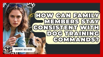 How Can Family Members Stay Consistent With Dog Training Commands? - Obedient Dog Guide