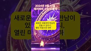 2024년 8월 10일 돼지띠 운세: 감정적 안정과 열린 마음
