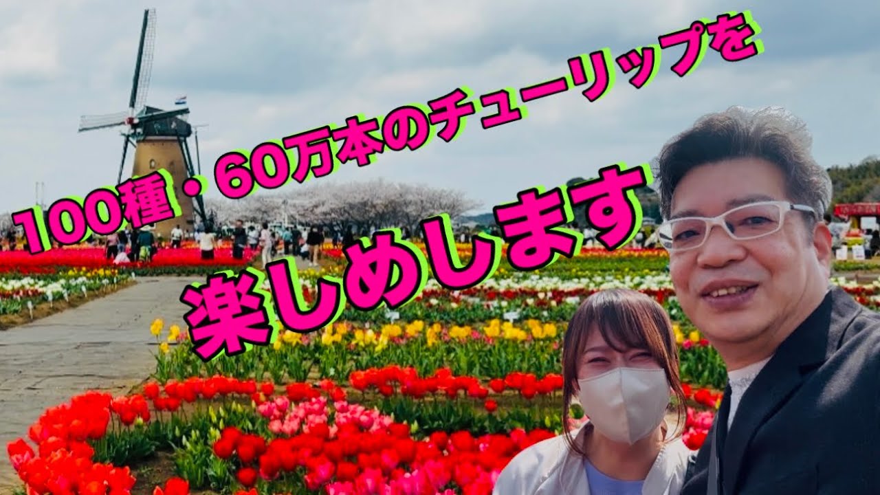 佐倉チューリップフェスタ2025