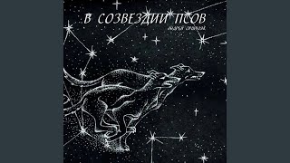 Звёздная пыль - Андрей Оршуляк