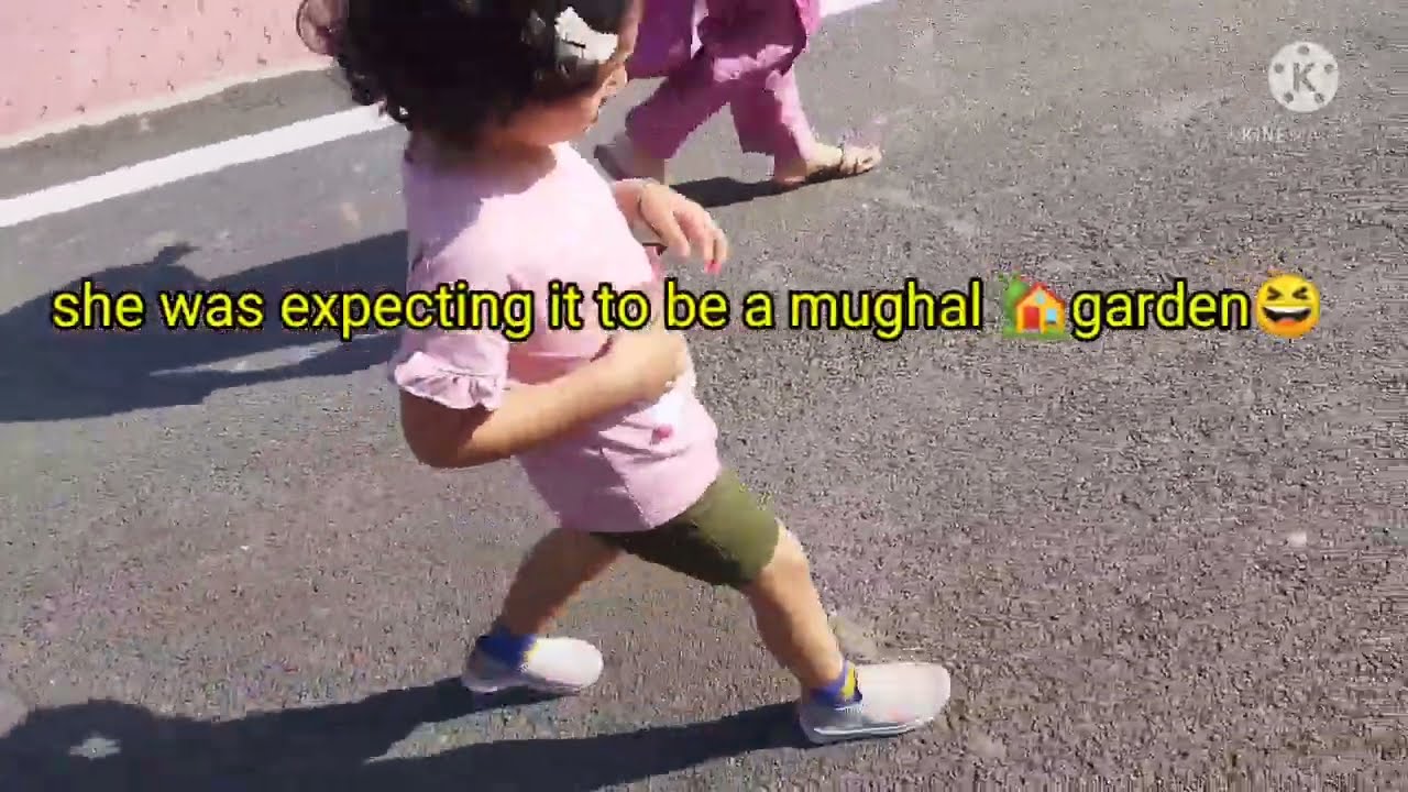 Going Suchetgarh (India _ Pak) border | Snobers biology