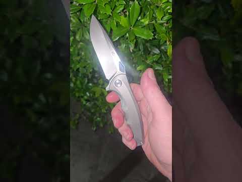 YangGe YG004 m390       everyday carry
