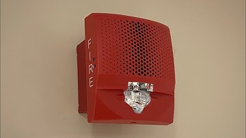 Basement Fire System Test 42 | EST Genesis LED Speaker/Strobes + Many Expansions