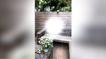 Fields app: Spatial sound in AR