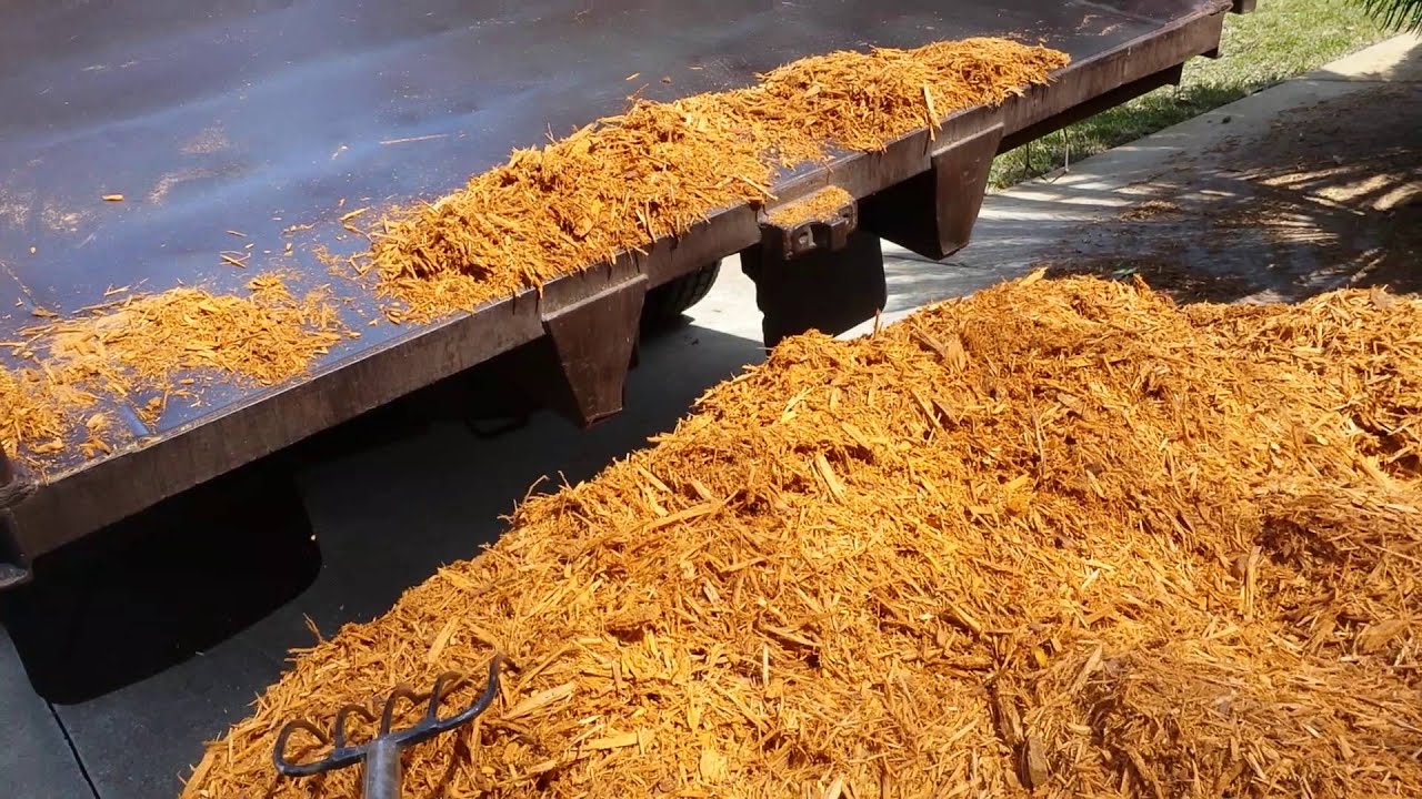 Big Mulch Job Lawn Care Life YouTube