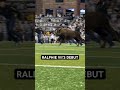 Throwback in honor of National Mascot Day 🙌🦬 #coloradobuffaloes #ralphie #collegefootball