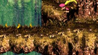 Donkey Kong Country 3: 105% G - Water Fall's