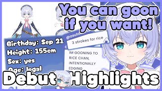 Bro Finally Reveals His Voice After 3 Years Rice Chan Vtuber Debut Highlights