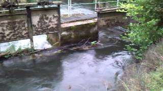 MOV 0042