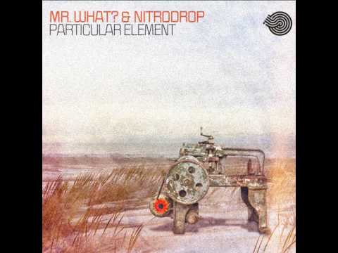 Mr.What?, Nitrodrop - Larger Picture